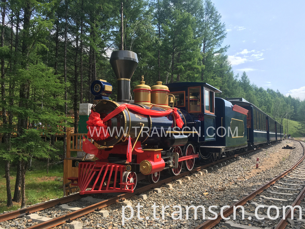 sightseeing train forest train with closed cars